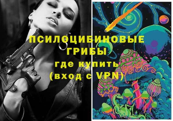 шишки Володарск
